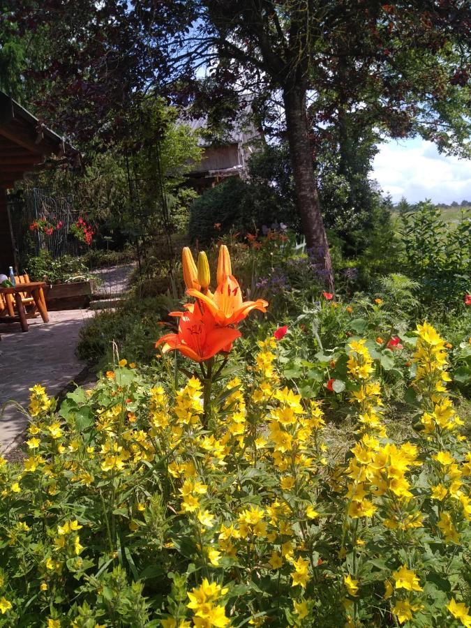 Chalet Le Paradou Adults Only Lessive Exterior photo