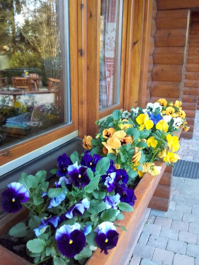 Chalet Le Paradou Adults Only Lessive Exterior photo